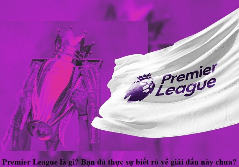 premier-league-la-gi-ban-da-thuc-su-biet-ro-ve-giai-dau-nay-chua