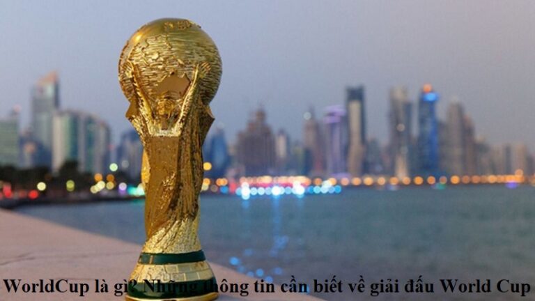 worldcup-la-gi-nhung-thong-tin-can-biet-ve-giai-dau-world-cup